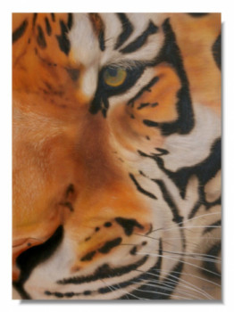 Œuvre contemporaine nommée « Œil du tigre », Réalisée par PASCAL GRANGER