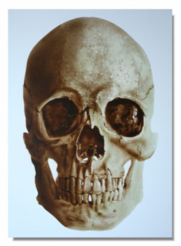 Œuvre contemporaine nommée « Crâne de face », Réalisée par PASCAL GRANGER