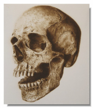 Œuvre contemporaine nommée « Crâne », Réalisée par PASCAL GRANGER