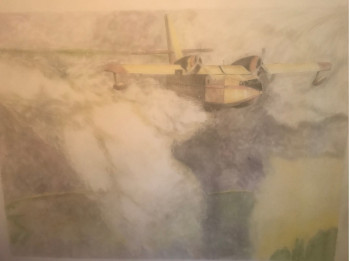 Œuvre contemporaine nommée « Canadair. », Réalisée par DIDIER SITAUD