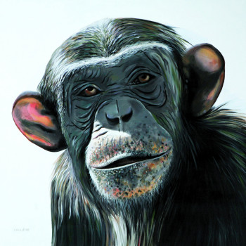 Œuvre contemporaine nommée « Chimpanzé 2 », Réalisée par DIDIER VALLé