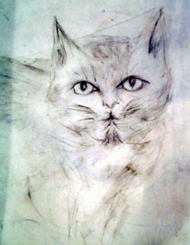 Œuvre contemporaine nommée « Croquis d'un chat », Réalisée par MITRA SHAHKAR