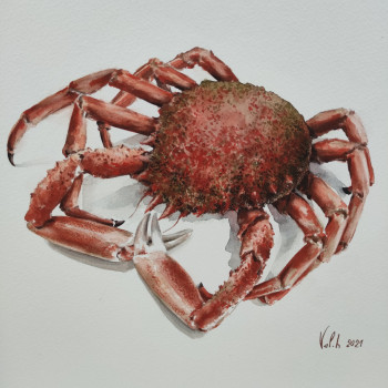 Œuvre contemporaine nommée « Araignée de mer », Réalisée par VAL.H