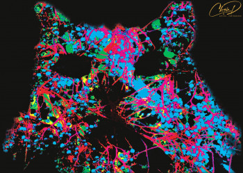 Cool Cat Sur le site d’ARTactif