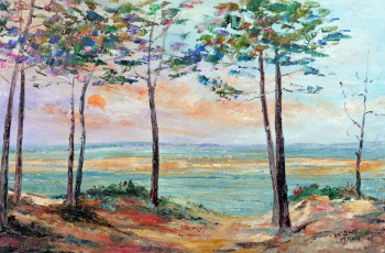 Œuvre contemporaine nommée « Arcachon soleil couchant sur le ban d'Arguin », Réalisée par MICHEL HAMELIN