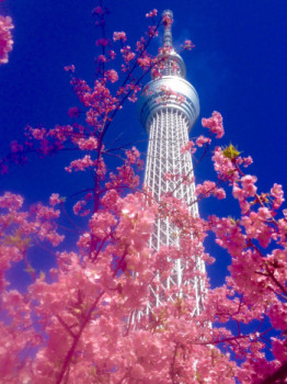 Œuvre contemporaine nommée « Printemps japonais », Réalisée par MAZE