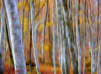 Œuvre contemporaine nommée « Couleurs..... », Réalisée par PHILIPPE BERTHIER