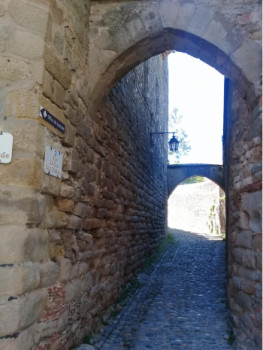 Œuvre contemporaine nommée « Dans les petites rues, de la Cité Médiévales », Réalisée par HéLèNE PALAZY