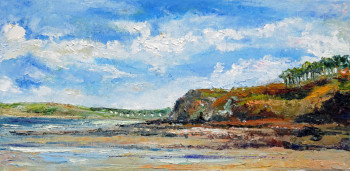 Œuvre contemporaine nommée « La plage du Rhys à Douranenez », Réalisée par MICHEL HAMELIN