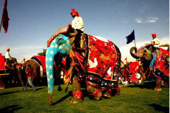 Œuvre contemporaine nommée « Fête des Eléphants. Jaipur. Inde », Réalisée par DOMINIQUE LEROY