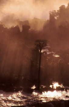 Œuvre contemporaine nommée « Chute Iguaçu. Côté Brésil. », Réalisée par DOMINIQUE LEROY