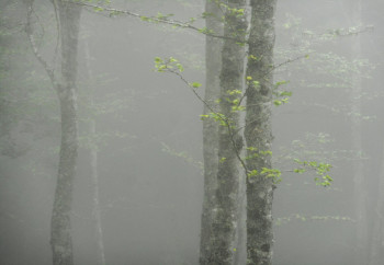 Œuvre contemporaine nommée « INVISIBLE......... », Réalisée par PHILIPPE BERTHIER