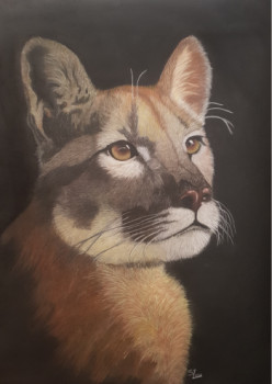 Œuvre contemporaine nommée « PUMA », Réalisée par SYLOU