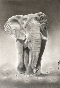 Œuvre contemporaine nommée « Eléphant d'Afrique », Réalisée par K-DOM