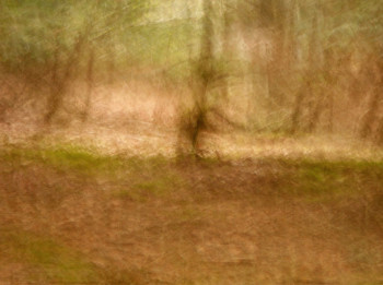 Œuvre contemporaine nommée « Histoire d'arbres......... », Réalisée par PHILIPPE BERTHIER