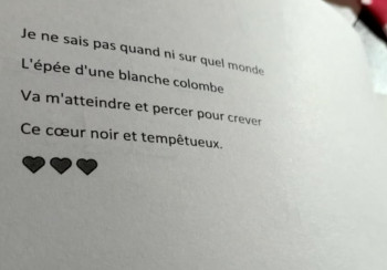 Œuvre contemporaine nommée « En balade la mélodie du malade », Réalisée par ELISA ELLE