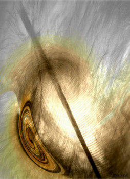 Œuvre contemporaine nommée « PLUME INDRIENNE », Réalisée par RACINE.A