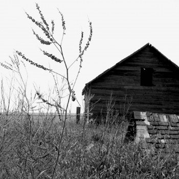 Œuvre contemporaine nommée « Saskatchewan », Réalisée par LAURENCE V