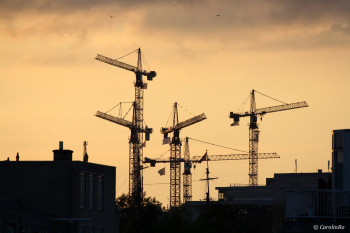 Œuvre contemporaine nommée « Grues au soleil couchant », Réalisée par CAROLINBO