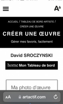 Œuvre contemporaine nommée « ironie féroce et complètement ineffective », Réalisée par DAVID SROCZYNSKI