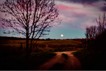 Œuvre contemporaine nommée « Pleine lune », Réalisée par SYLVIE LéONARD