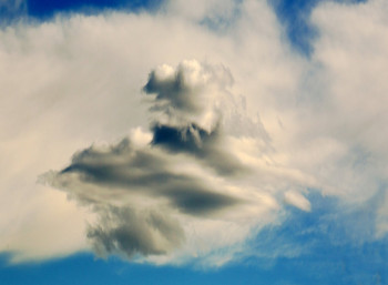 Œuvre contemporaine nommée « Les Nuages ont la Parole..... », Réalisée par PHILIPPE BERTHIER