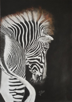 Œuvre contemporaine nommée « ZEBRE », Réalisée par SYLOU