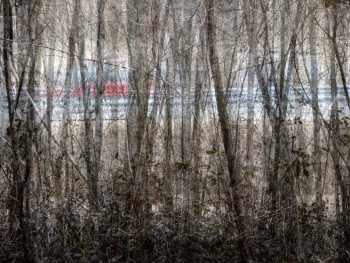 Œuvre contemporaine nommée « Près d'une route.... », Réalisée par PHILIPPE BERTHIER