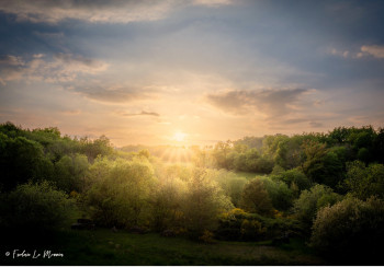 Œuvre contemporaine nommée « Sunset in eden garden », Réalisée par FREDERIC LE MONNIER