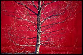 Œuvre contemporaine nommée « Arbre rouge », Réalisée par ISABELLE GERNIGON