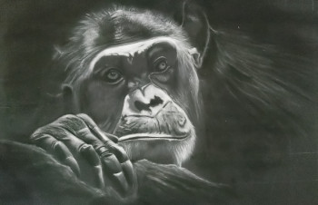 Œuvre contemporaine nommée « Chimpanzé », Réalisée par SANPIER