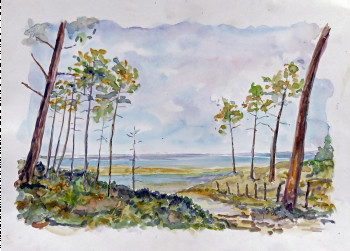 Œuvre contemporaine nommée « Le bassin d' Arcachon vu de péreire », Réalisée par MICHEL HAMELIN