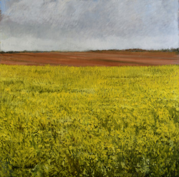 Œuvre contemporaine nommée « colza », Réalisée par CORINNE QUIBEL