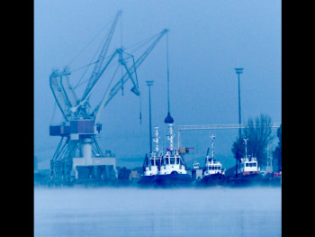 Œuvre contemporaine nommée « Les grues du port », Réalisée par MICHEL PAULIN