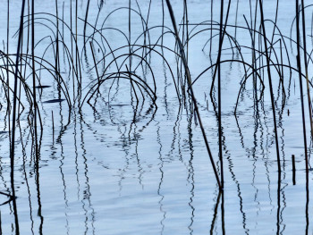 Œuvre contemporaine nommée « Le cercle des poètes », Réalisée par MICHEL PAULIN