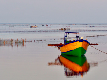 Œuvre contemporaine nommée « Matin calme ,lagune nord Sri Lanka », Réalisée par MICHEL PAULIN