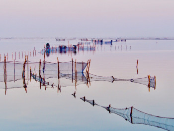 Œuvre contemporaine nommée « La lagune », Réalisée par MICHEL PAULIN