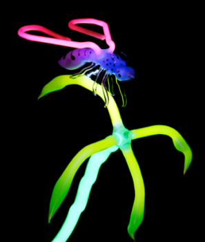 Œuvre contemporaine nommée « La mouche », Réalisée par FRANCK
