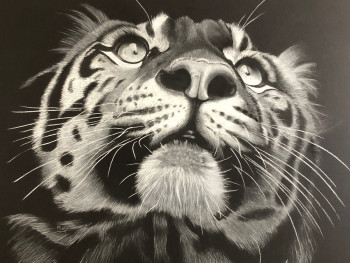 Œuvre contemporaine nommée « Le tigre », Réalisée par KURZ