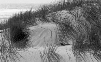 Œuvre contemporaine nommée « Dune à la Côte Sauvage les Mathes Charente-Maritime », Réalisée par CASSANDRE