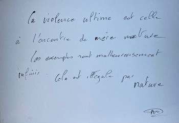 Œuvre contemporaine nommée « Illégale », Réalisée par NICOLAS D