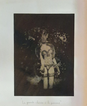 Œuvre contemporaine nommée « La grande chèvre a la pomme », Réalisée par JEAN-LUC SIGEL