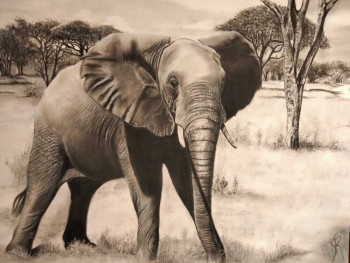Œuvre contemporaine nommée « elephant de tanzanie », Réalisée par SANPIER