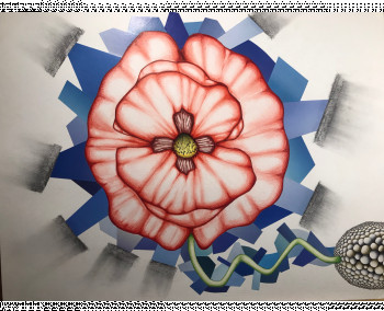 Œuvre contemporaine nommée « Coquelicot », Réalisée par DA-VID