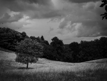 Œuvre contemporaine nommée « Natur'elle », Réalisée par DANIEL HUGUES