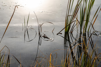 Œuvre contemporaine nommée « LES REFLETS DANS L'EAU », Réalisée par ELISABETH