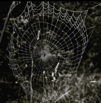 Œuvre contemporaine nommée « Photo numérique 5098 », Réalisée par AURORE MASSIMI