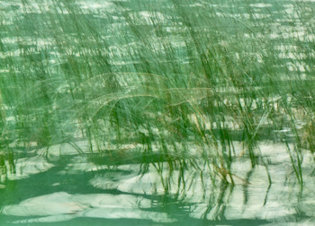 Œuvre contemporaine nommée « La danse du lac », Réalisée par ODILE PARENT