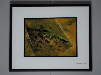 Œuvre contemporaine nommée « SAVANE », Réalisée par STEF'ART