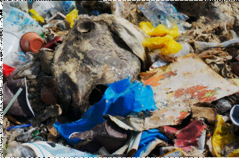 Œuvre contemporaine nommée « Les déchets plastiques », Réalisée par PHONSE